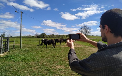 Impressão digital em focinhos permite rastrear bovinos via aplicativo de celular