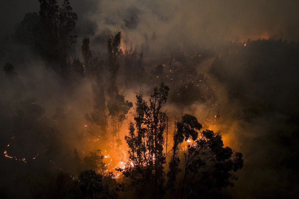 Fogo consome árvores perto de Puren, no Chile, em um dos muitos focos de incêndio florestal que estão ocorrendo no país — Foto: Matias Delacroix/AP