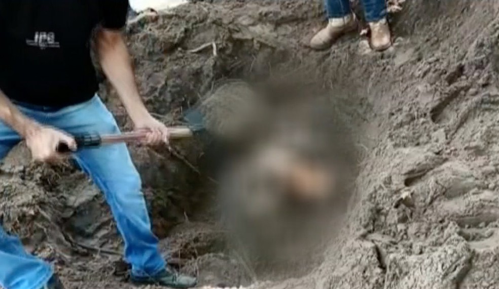 Corpo foi encontrado enterrado no quintal de casa onde vítima morava — Foto: TVCA/Reprodução