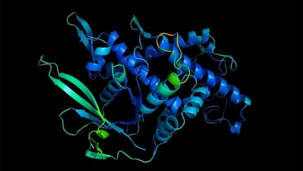 DeepMind foi capaz de prever a formação de estruturas de proteínas como essa em um nível sem precedentes (Foto: DEEPMIND/PA WIRE)