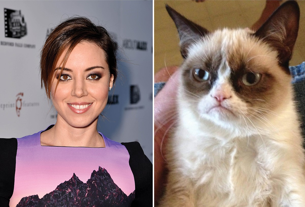Aubrey Plaza dará voz ao filme da 'Grumpy Cat' (Foto: Getty Images / Reprodução)