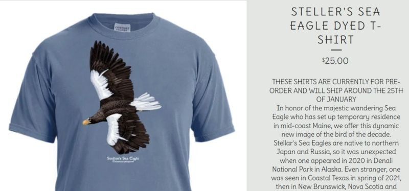 Águia 'perdida' já virou estampa de camiseta (Foto: Reprodução/Coyote Graphics via BBC News)