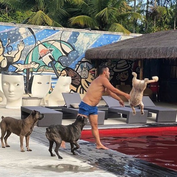 André Marques com alguns de seus cães (Foto: Reprodução/Instagram)