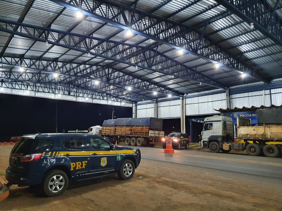 PRF apreendeu mais de 100m³ de madeira ilegal em Rondônia — Foto: Divulgação/NUCOM