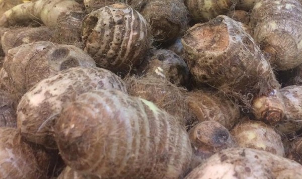 Especialistas Falam Se E Verdade Ou Mito Sobre Suco De Inhame Combater A Dengue Sao Jose Do Rio Preto E Aracatuba G1