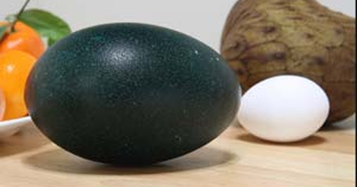 Громадное яйцо. Черные яйца. Темные яйца. Большие черные яйца. Чёрные яйца куриные.