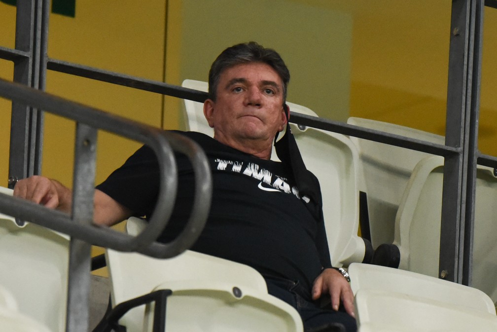 Andrés Sanchez em jogo do Corinthians — Foto: Caio Rocha / Estadão Conteúdo