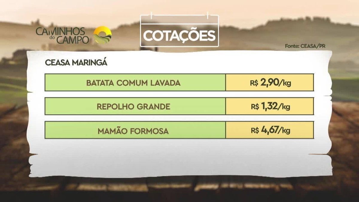 Produtos das Ceasas do Paraná têm alteração nos preços; confira
