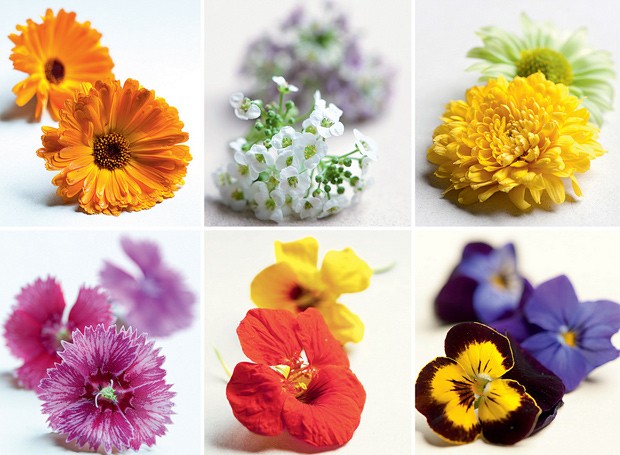 Flores comestíveis (Foto:  )