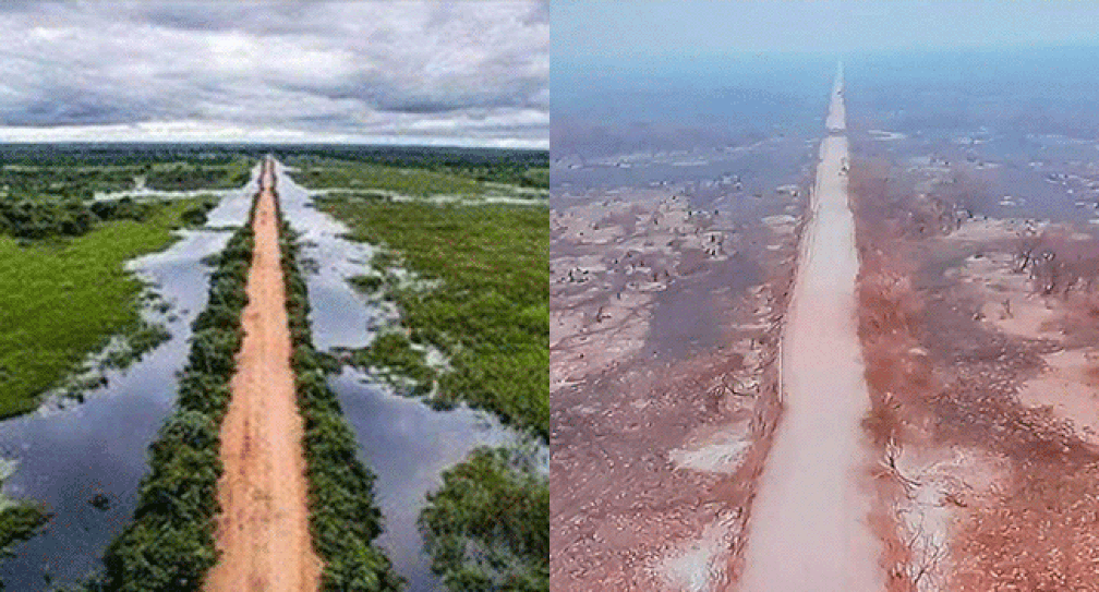 Fotos mostram antes e depois da Rodovia Transpantaneira ser atingida pelos incêndios no Pantanal de MT — Foto: Drone Cuiabá/Divulgação