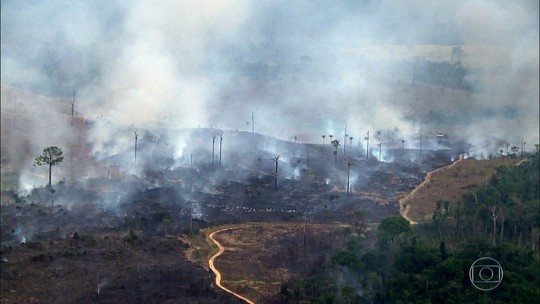 Flagrantes mostram queimadas e transporte de madeira ilegal na Amazônia