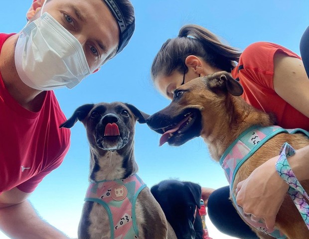 Camila Queiroz e KLebber Toledo posa com seus cachorros, todos adotados (Foto: Reprodução/Instagram)