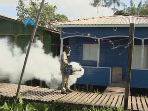 Agentes realizaram fumace em distrito de Macapá para matar mosquito (Foto: Reprodução/TV Amapá)
