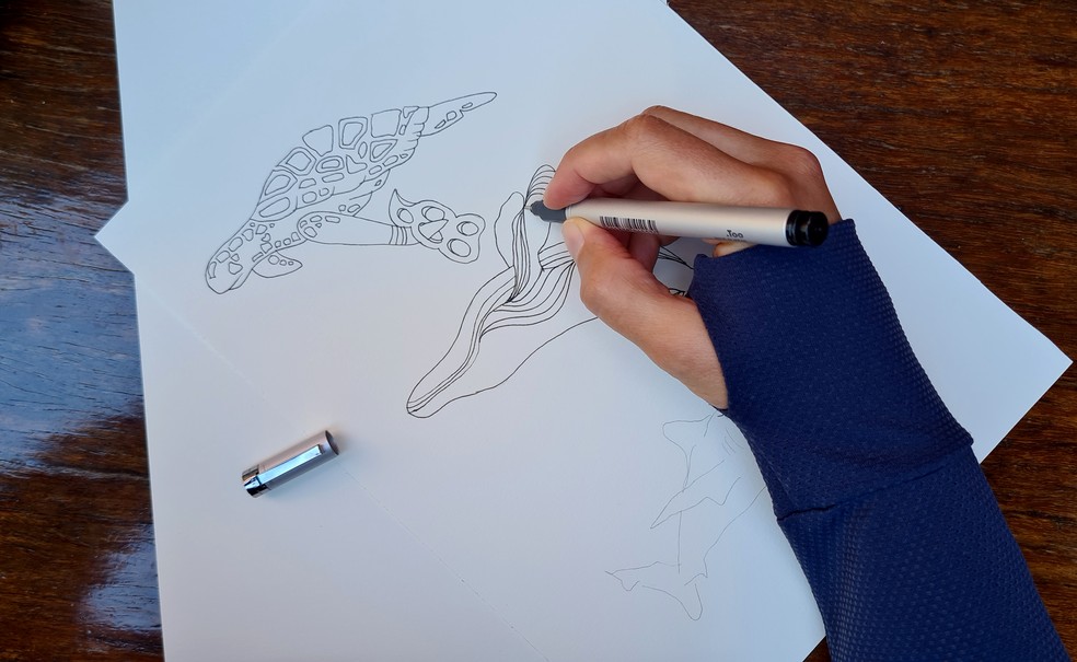 Dia Dos Oceanos Artista Brasileira Se Une A Ong Internacional Para Divulgar Trabalho De Conservacao Terra Da Gente G1