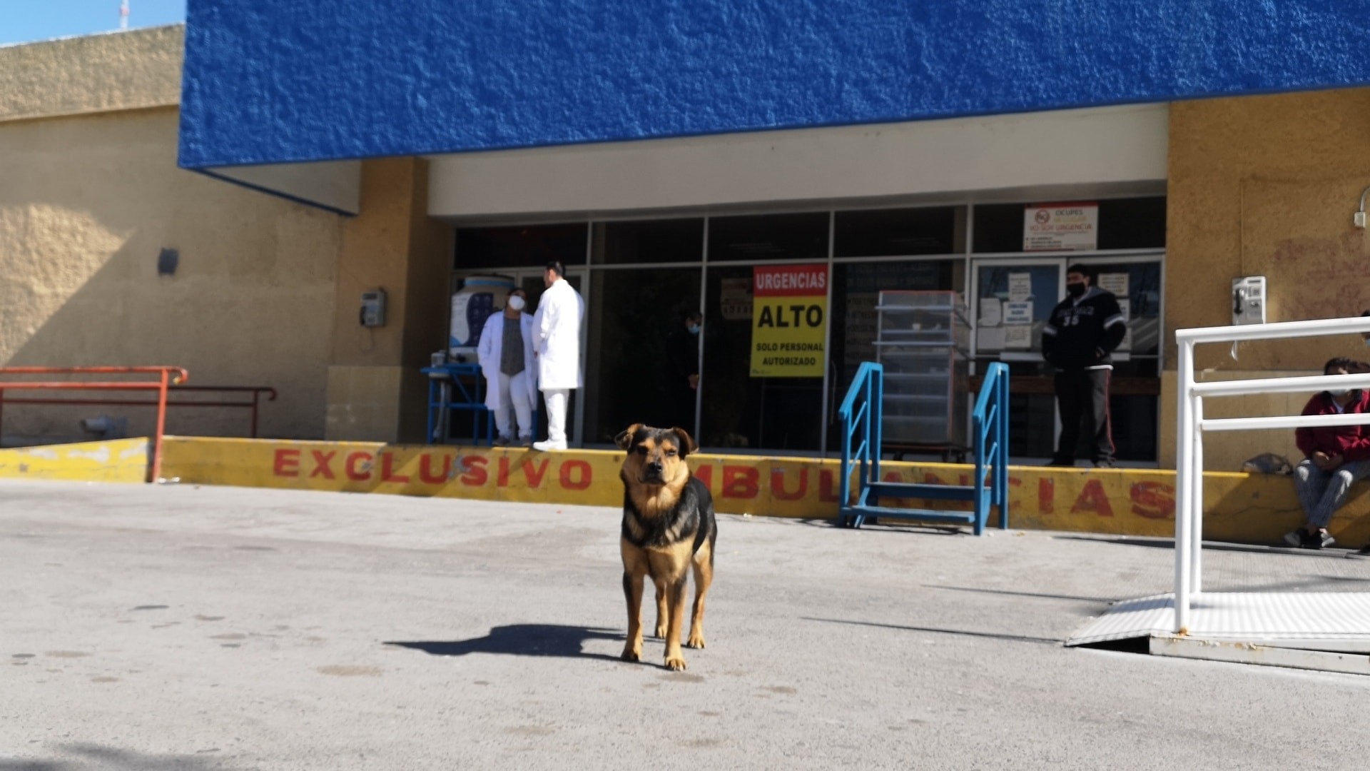 No México, cachorro aguardou seu dono, vítima da Covid-19, por mais de um mês em frente ao hospital (Foto: Facebook: Sin Frontera Magazine)