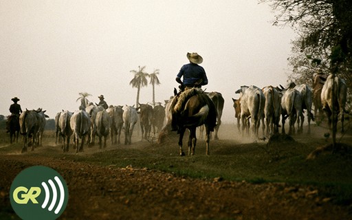 13 filmes de faroeste da nova geração - Revista Globo Rural