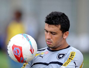 Edilson treino Botafogo (Foto: AGIF)