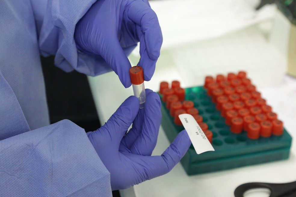 Exames para Covid-19 no  Laboratório de Vírus Respiratórios e do Sarampo do Instituto Oswaldo Cruz — Foto: Josué Damacena/IOC/Fiocruz