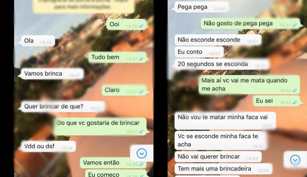 Print mostra conversa entre menino e irm&atilde; da v&iacute;tima em Sorocaba &mdash; Foto: Arquivo pessoal