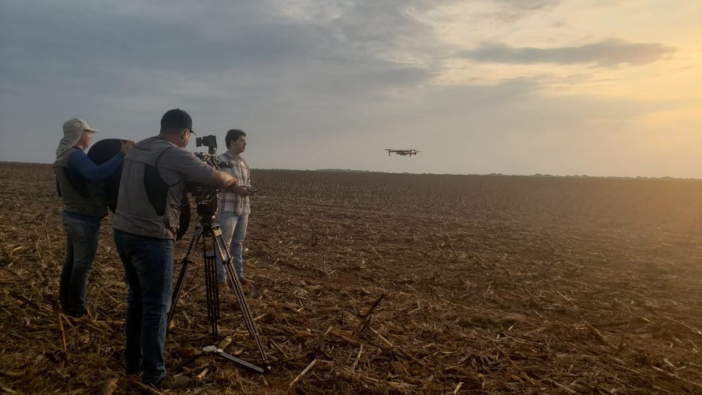Produtor rural monitora drone em lavoura — Foto: Ianara Garcia/ TVCA