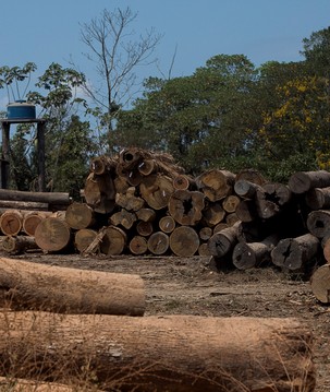Como novas tecnologias ajudam a identificar desmatamento na Amazônia