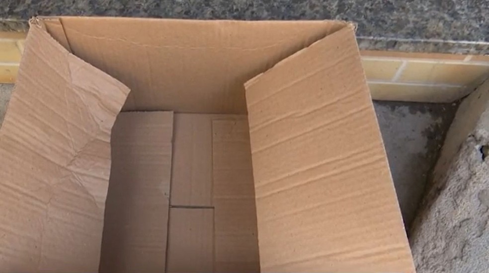 Idosa encontra recém-nascida dentro de caixa de papelão na frente de casa, na Bahia — Foto: Reprodução/TV Bahia