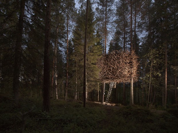 Casa na árvore em forma de ninho do Treehotel, na Suécia (Foto: Peter Lundstrom, WDO – www.treehotel.se)