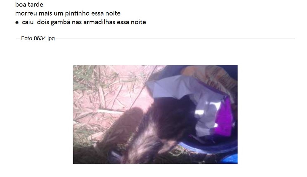 E-mail informa Instituto Lula sobre o dia a dia do sítio em Atibaia  (Foto: Reprodução)