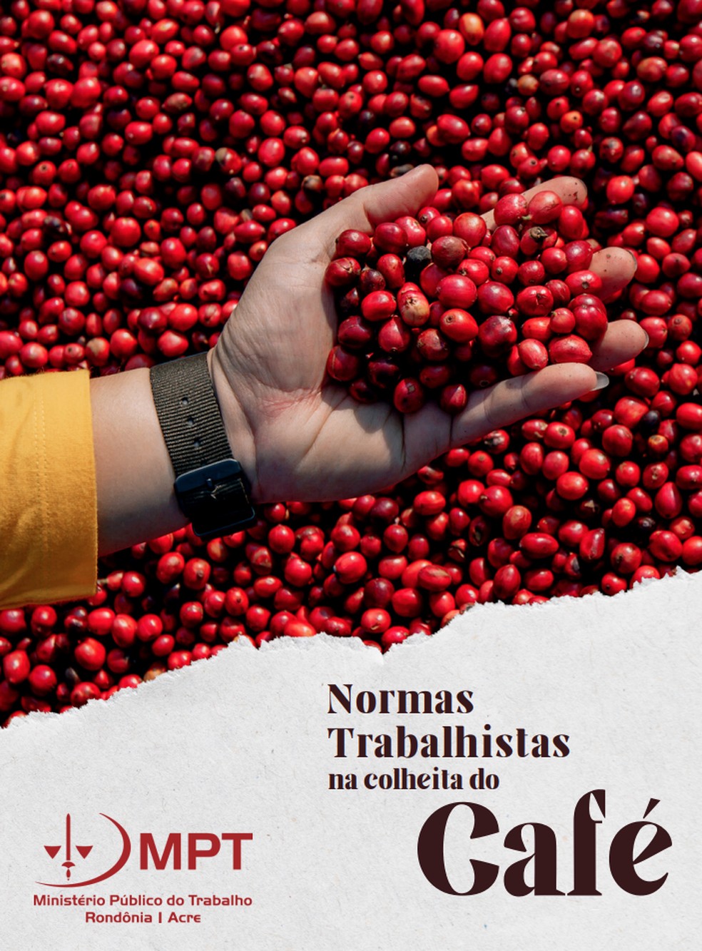 Cartilha sobre normas trabalhistas na colheita do café é publicada pelo MPT-RO — Foto: Divulgação