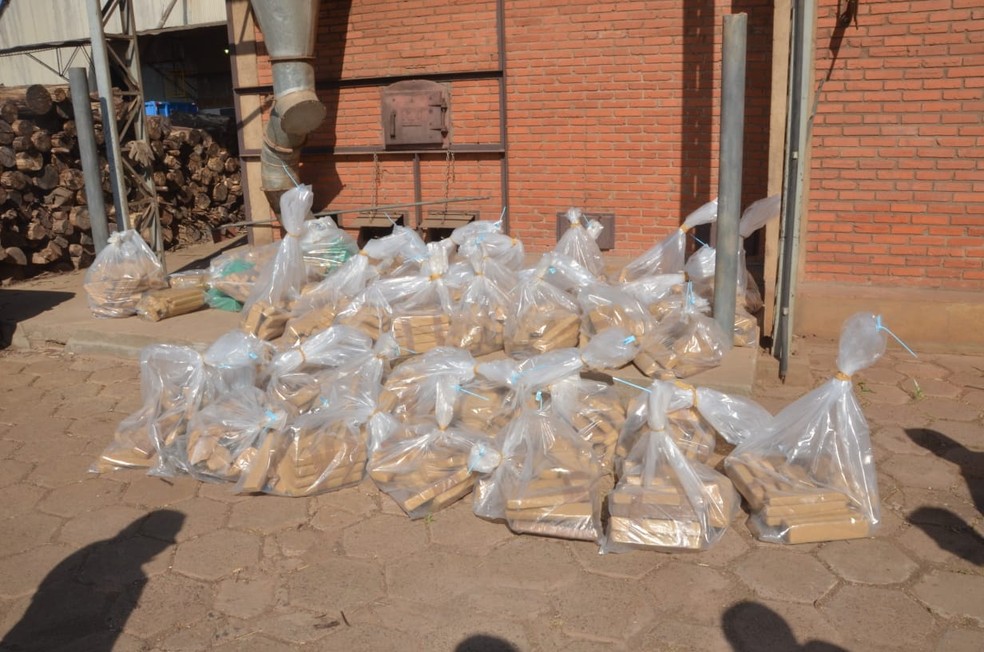 Drogas foram incineradas pela polícia em Paranapanema (SP) — Foto: Polícia Civil/Divulgação
