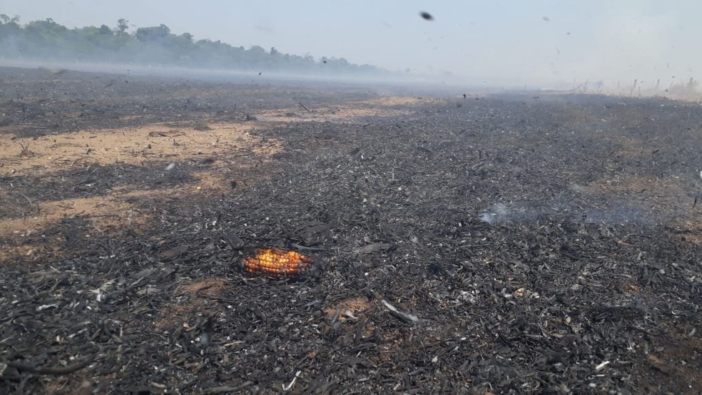 Mato Grosso estÃ¡ em perÃ­odo crÃ­tico de queimadas â€” Foto: LaÃ©rcio RomÃ£o/TVCA