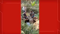 Jumenta é resgatada pela Defesa Civil após cair em fossa desativada