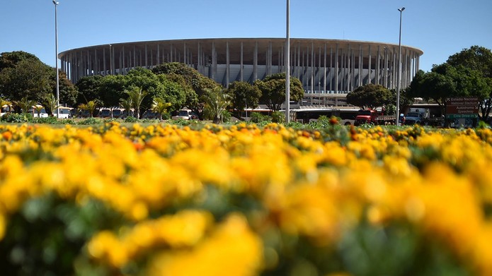 Canteiro de flores próximo ao Estádio Mané Garrincha, em Brasília (Foto: André Borges/Agência Brasília)