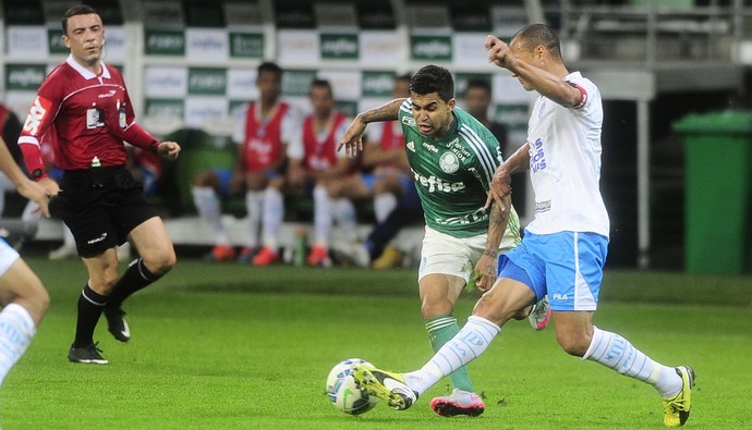 Palmeiras x Avaí Dudu (Foto: Marcos Ribolli)