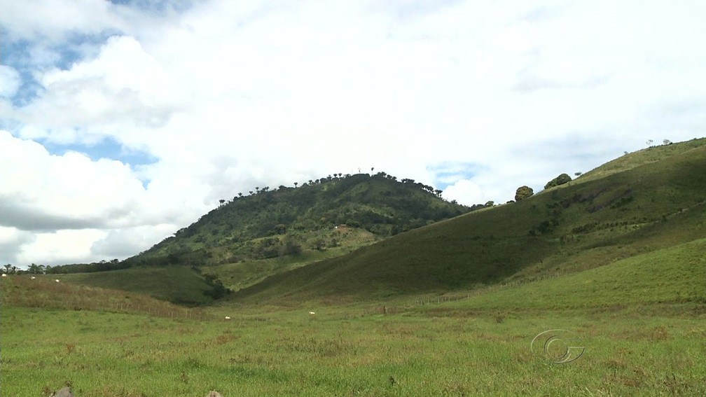 Quilombo dos Palmares fica no alto da Serra da Barriga, no município de União dos Palmares, em Alagoas — Foto: Reprodução/TV Gazeta