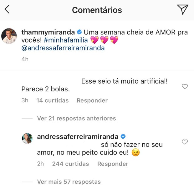 Andressa Miranda responde comentário (Foto: Reprodução/Instagram)