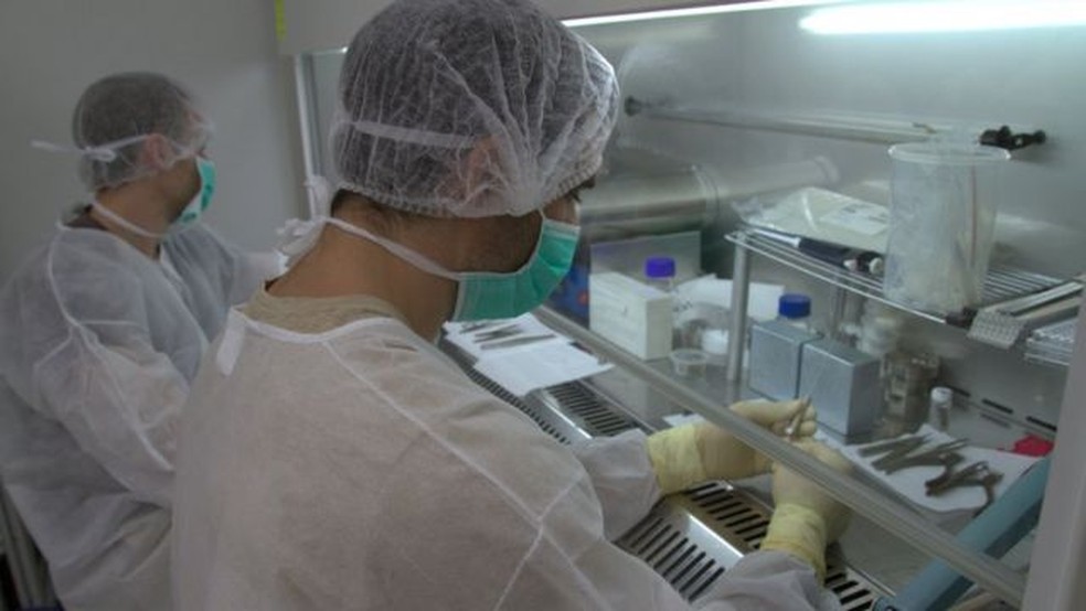 Cientistas trabalhando nas etapas da DaRT em laboratório — Foto: DIVULGAÇÃO/BBC