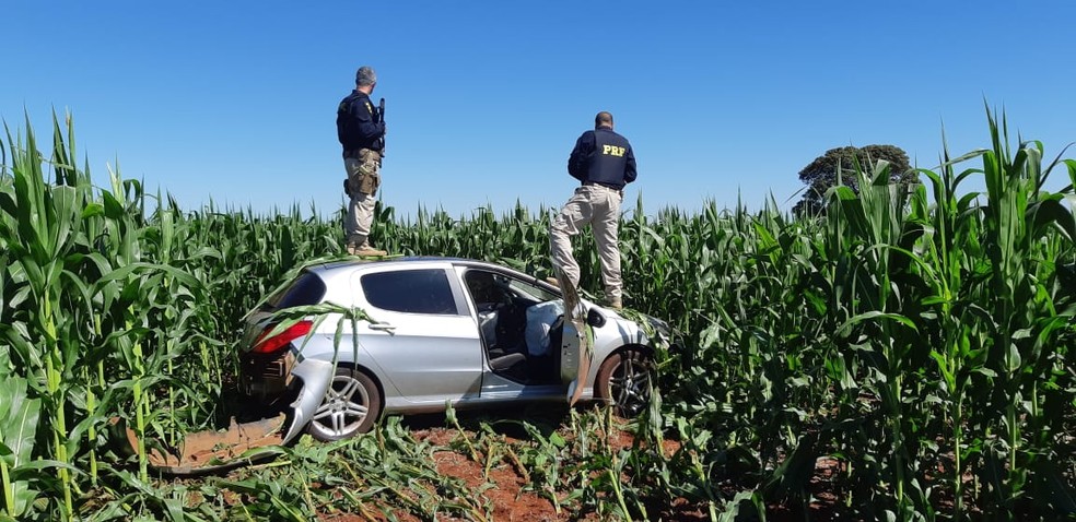 Carro com 500kg de maconha é abandonado em plantação de milho durante perseguição  — Foto: Divulgação/Polícia Rodoviária Federal