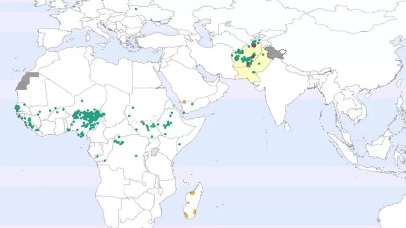 Paquistão e Afeganistão (pintados de amarelo no mapa) são os únicos dois países com poliomielite endêmica. Na África, na Ucrânia e no Iêmen foram registrados alguns casos raros de pólio por derivado vacinal (Foto: POLIO GLOBAL ERRADICATION INITIATIVE via BBC)