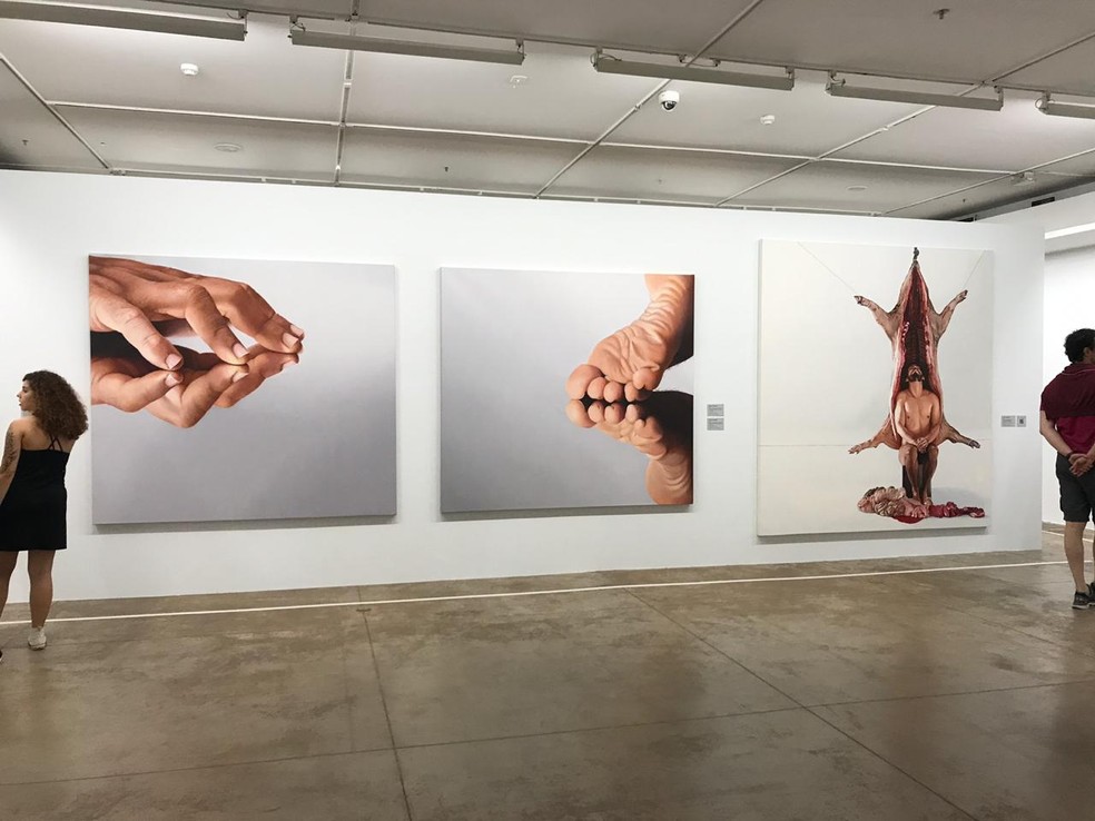 Pinturas do baiano Fábio Magalhães em exposição no CCBB de Brasília — Foto: Luzia Garonce/G1