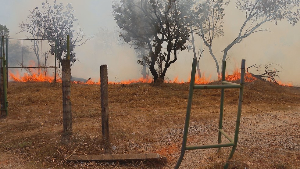 Incêndio florestal no DF — Foto: Divulgação/CBMDF