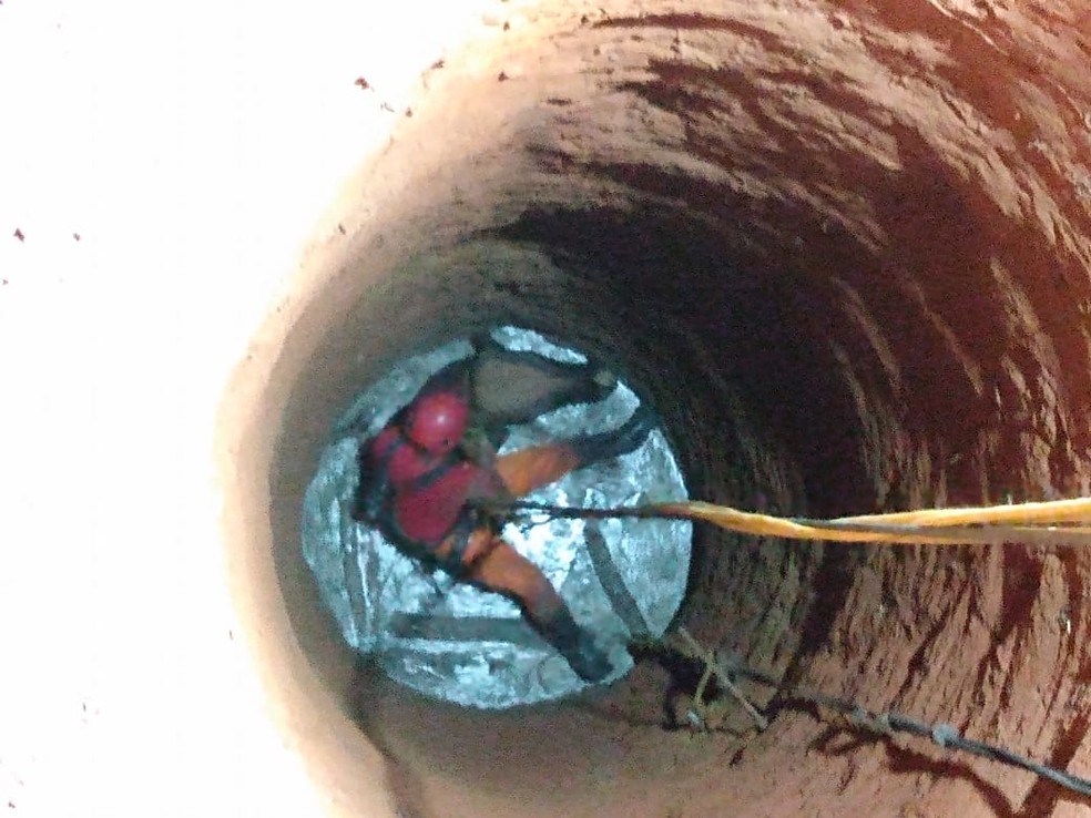 Depois de quatro horas, bombeiros conseguem resgatar boi que caiu num poço, em Arapiraca — Foto: Ascom CBMAL