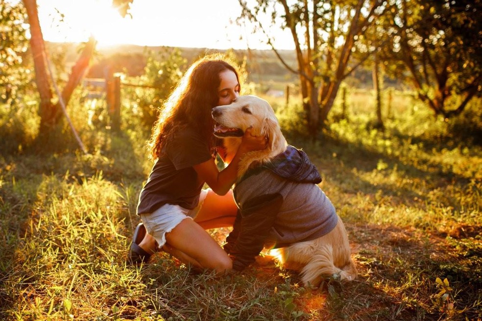 O golden retriever é uma das raças mais amistosas de cachorros — Foto: ( Unsplash/ Helena Lopes/ CreativeCommons)