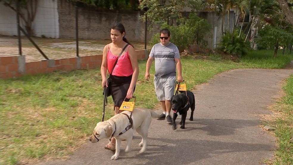 Pessoas com deficiência alegam dificuldades no transporte por aplicativos — Foto: Reprodução/TV TEM