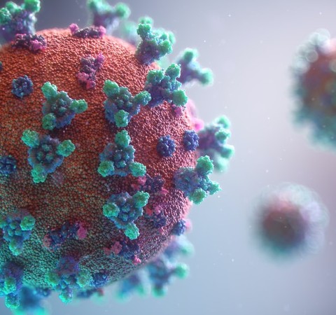 Proteção de células T contra ômicron dura meses — sobretudo em vacinados