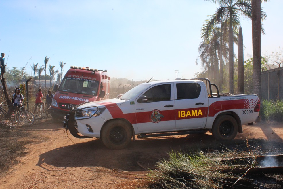 Corpo de Bombeiros e Ibama foram chamados para apagar o fogo (Foto: Pedro Bentes/ G1)