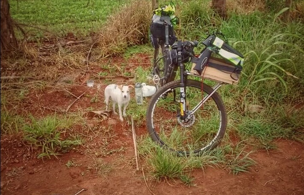 Ciclista parava a cada 30km para a cachorrinha esticar as patas. — Foto: Arquivo pessoal
