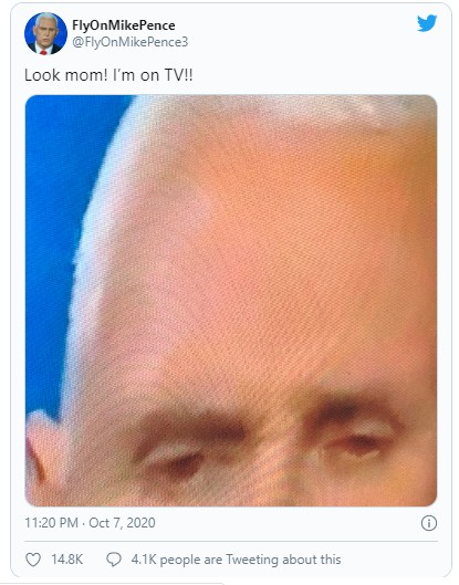 Mosca que pousou em Mike Pence vira meme nas redes sociais (Foto: Reprodução/Twitter)