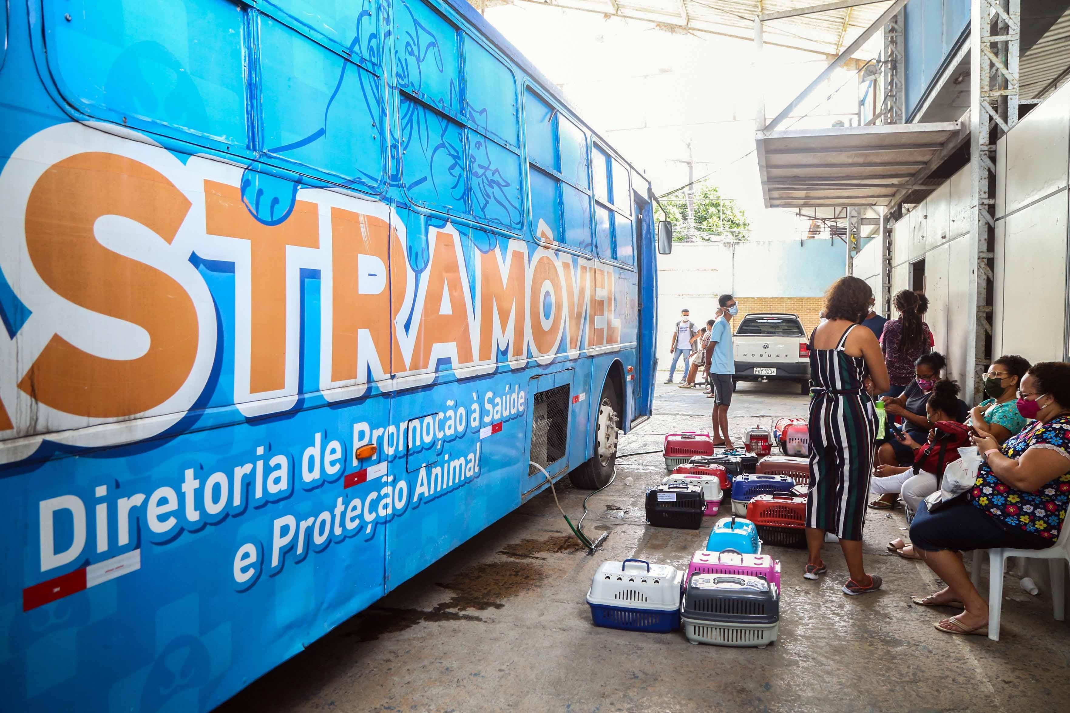 Castramóvel é implantado no bairro de Cajazeiras X, em Salvador; veja como fazer agendamento