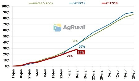 milho verão-agrural-colheita-março-2018 (Foto: AgRural)